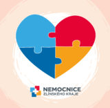 Vsetínská nemocnice a.s.