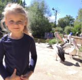 Vsetínská nemocnice a.s.