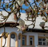 Vsetínská nemocnice a.s.