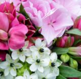 Vsetínská nemocnice a.s.