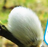 Vsetínská nemocnice a.s.