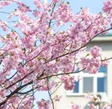 Vsetínská nemocnice a.s.