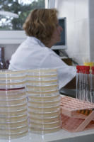 05 LEKAŘSKÁ MIKROBIOLOGIE 2016  