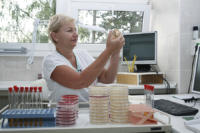 06 LEKAŘSKÁ MIKROBIOLOGIE 2016  